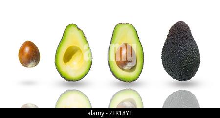 Fresh ripe avocado fruit and halves isolated on white background Stock Photo