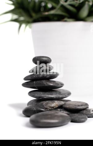 Close up of stacked black pebbles or zen stones and a white succulent flowerpot, isolated on white background. Harmony, balance and meditation, spa. Stock Photo