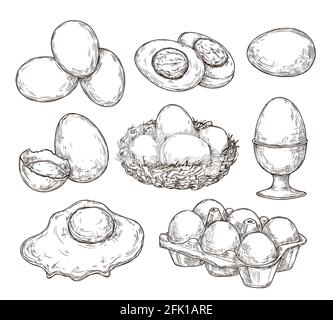 Eggs sketch. Vintage natural egg, broken shell. Hand drawn farming food, animal products. Drawing ingredients, rustic vector illustration Stock Vector