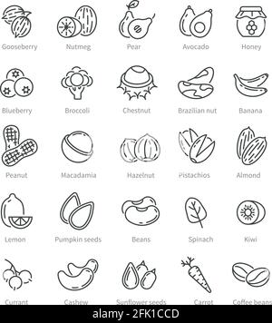 Super food icons. Berries nuts beans ingredients. Diet and detox healthy fruits. Organic selection supplements, vegan vector line symbols Stock Vector