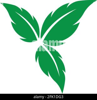 Green leaf ecology nature element vector Stock Vector Image & Art - Alamy