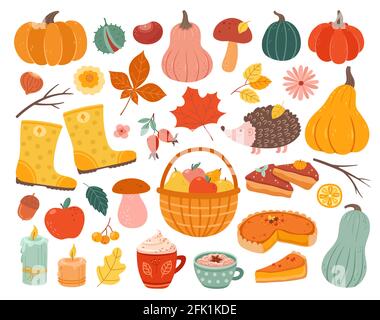 Cute autumn elements. Fall pumpkin, hedgehog november forest leaves. Thanksgiving and harvest season, cozy decoration vector illustration Stock Vector