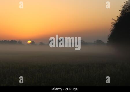 Sunrise foggy Morning   sunrise with fog   Emsland/Germany Stock Photo