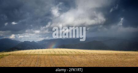 End of the rainbow, landscape panorama with dramatic sky. Thunderstorm clouds over leafless vineyard in early spring and tiny piece of rainbow, with d Stock Photo