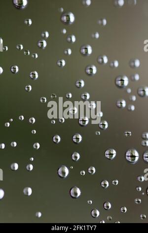 Drops of water from rainning on glass. Selective focus. white gray clouds background pattern texture. Stock Photo