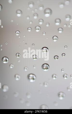 Drops of water from rainning on glass. Selective focus. white gray clouds background pattern texture. Stock Photo