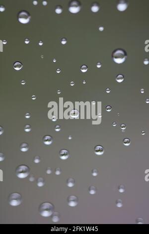 Drops of water from rainning on glass. Selective focus. white gray clouds background pattern texture. Stock Photo