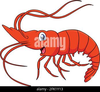 Cute Shrimp animal cartoon illustration Stock Vector