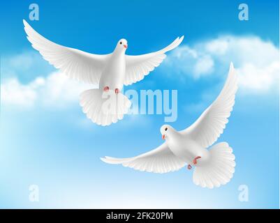 Bird in clouds. Flying white pigeons in blue sky peaceful religion concept with realistic birds vector background Stock Vector