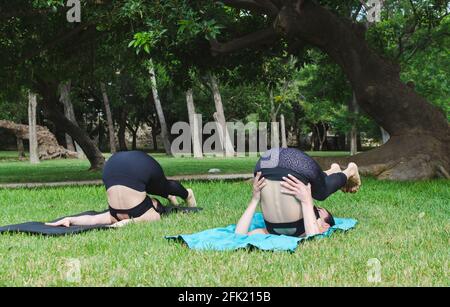 two young women doing yoga in the park over their shoulders Stock Photo