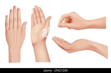 Hands realistic. Gestures human palms and fingers pointing hand people communication language vector closeup template Stock Vector