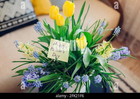 Mother's day present. Pot with blooming spring yellow and blue flowers and greeting card waits for mom at home. Gift for holiday with 2021 colors Stock Photo