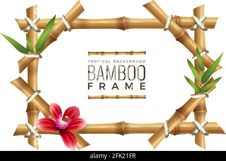 Bamboo frames background. Asian nature geometrical frame with place for your text wooden tropical vector mockup Stock Vector