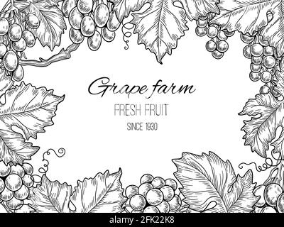 Grape frame. Vineyard vintage vector background with grapevine and leaves Stock Vector