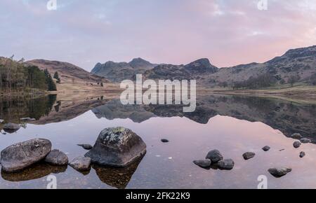 Langdale Pikes perfectly reflected in Blea Tarn at sunrise in spring Stock Photo