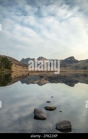 Perfect mirror-like reflections of the Langdale Pikes in Blea Tarn just after sunrise in spring Stock Photo