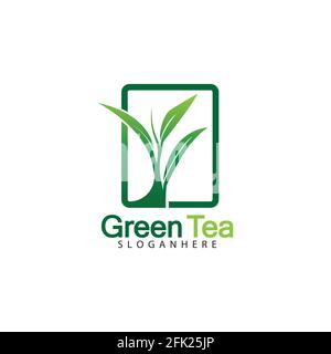 Green tea leaf logo vector icon illustration design isolated on white background-vector image Stock Vector