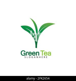 Green tea leaf logo vector icon illustration design isolated on white background-vector image Stock Vector