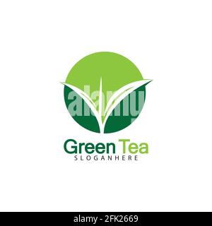 Green tea leaf logo vector icon illustration design isolated on white background-vector image Stock Vector