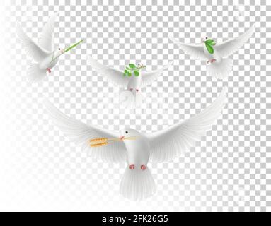 Realistic pigeons with branches. White flying doves isolated vector set Stock Vector