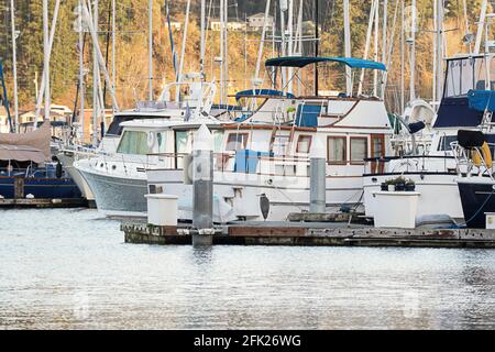 heron standing on pier in small fishing town marina Stock Photo