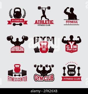 Strong Muscular Rabbit Holding Two Dumbbells Stock Vector (Royalty Free)  1998258623