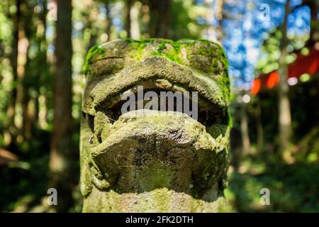 Stone Lion dog statue covered in green moss in a Japanese shrine within a forest in Takayama, Japan. Stock Photo