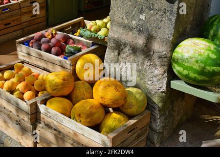 Fresh melons in the boxes. Stock Photo