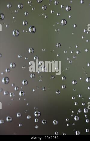 Drops of water from rainning on glass. Selective focus. white gray clouds background pattern texture. Stock Photo
