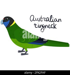 Australian ringneck parakeet in cartoon style on white background. Vector hand drawn illustration. Barnardius zonarius Stock Vector