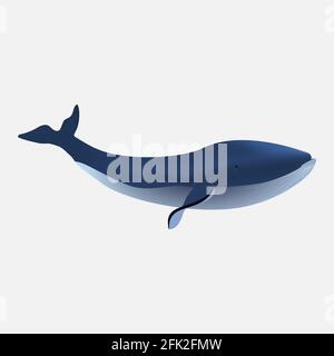Big blue whale icon isolated on white background. Stock Vector