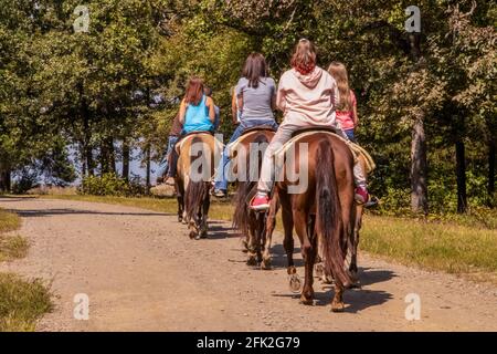 Trail road - Backs of a row of women on horses walking along a dirt road with trees in the background Stock Photo