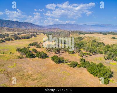 rolling grasslands and oaks below the Topatopa Mountins near Ojai, California Stock Photo