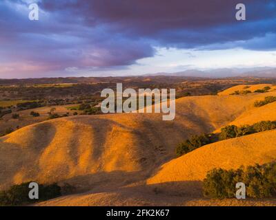 stormy sunset over Firestone Vineyard, Santa Ynez Valley, California Stock Photo