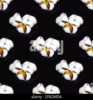 White dry cotton flowers seamless pattern on black background. Stock Photo