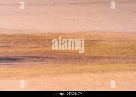 Horizontal Poplar wood color chip sample showing a range of light tan to dark purple colors. Stock Photo
