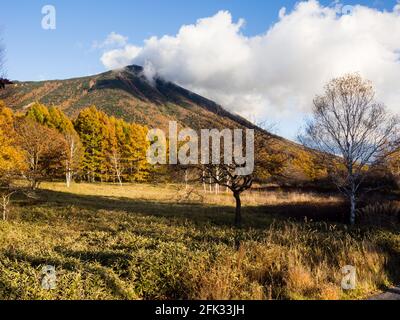 Mount Nantai and golden autumn larches at Senjogahara in Nikko National Park, Japan Stock Photo