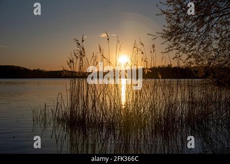 Niegripp, Germany. 25th Apr, 2021. Sunset at the Niegripper See, a recreation area near the district town Burg near Magdeburg. Credit: Stephan Schulz/dpa-Zentralbild/ZB/dpa/Alamy Live News Stock Photo