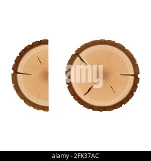 Tree stump, cross section of tree, textured, detailed isolated on white background in flat cartoon style. Cut round trunk with rings. Vector illustrat Stock Vector