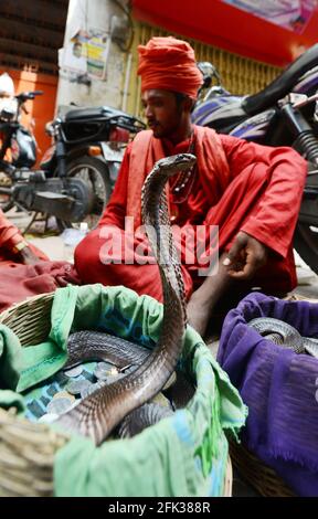 Traditional Indian snake charmers entertaining the crowed  in the old city of Varanasi, India. Stock Photo