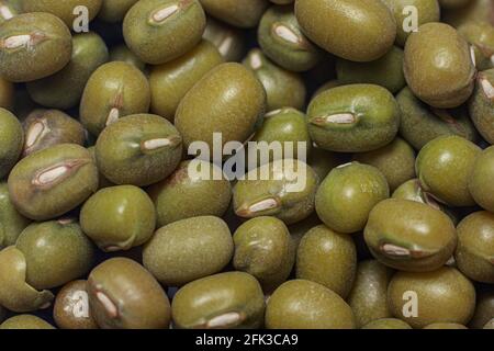 Macro close-up photo of green mung bean grains - Asian golden beans Vigna radiata. Top view, layout. Source of protein and fiber, vegetarian food. Stock Photo