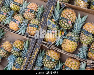 Boxes of fresh pineapples, variety Honeyglow, on sale in a garden centre, UK Stock Photo