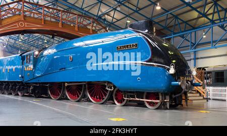York, North Yorkshire, England. Iconic 1938 LNER A4 Pacific Class steam locomotive, Mallard, on display at the National Railway Museum. Stock Photo