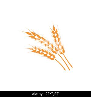 Ears of wheat. Logo. Vector illustration on white isolated background. Stock Vector