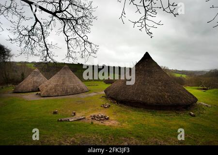 Castell Henllys Iron Age settlement North Pembrokeshire, Wales, UK Stock Photo