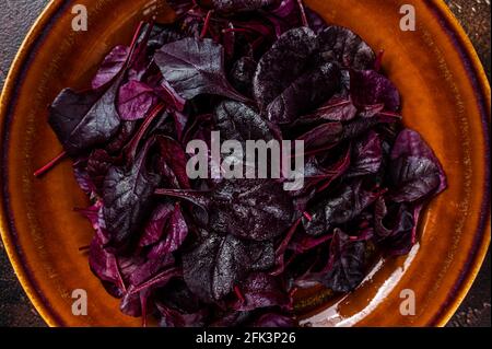 Raw Ruby or red chard salad Leafs on a rustic plate. Dark background. Top view Stock Photo