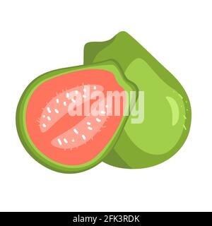 Hand drawn guava, whole and slice. Summer tropical fruit and half, healthy vitamin C source. Vector illustration icon isolated on white. Stock Vector
