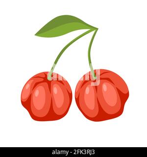 two red acerola cherry berries with green leaf hand drawn vector illustration of rich vitamin food isolated on white. Stock Vector