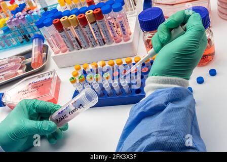 Scientist holds vial of new Brazilian covid-19 strain in research, conceptual image Stock Photo