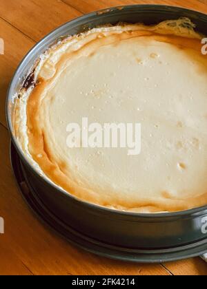 New York cheesecake before the unmold Stock Photo
